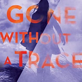 Gone Without A Trace by Mary&nbsp;Torjussen