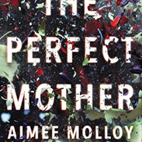 The Perfect Mother by Aimee&nbsp;Molloy