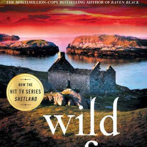 Wild Fire by Ann&nbsp;Cleeves